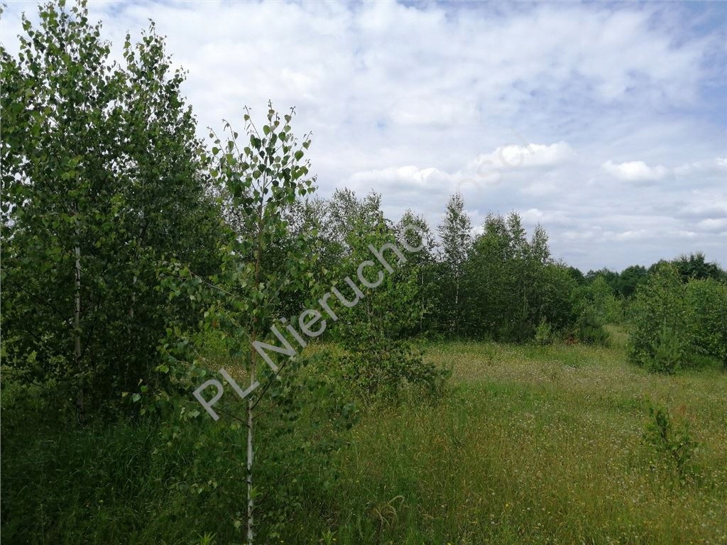 Działka, Waliska, Latowicz, Miński, 1016 m²