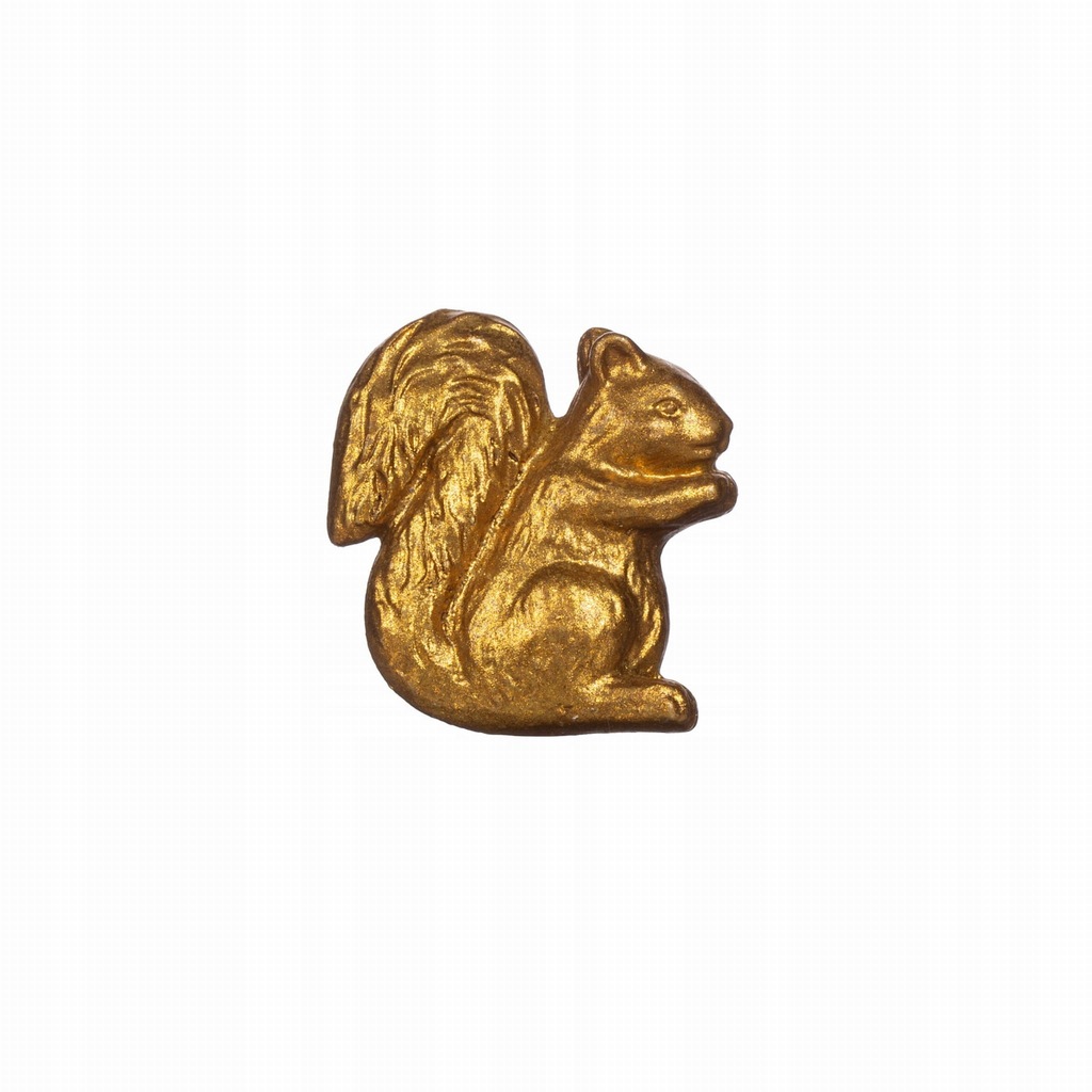 Gałka Gold Squirrel Sass&Belle
