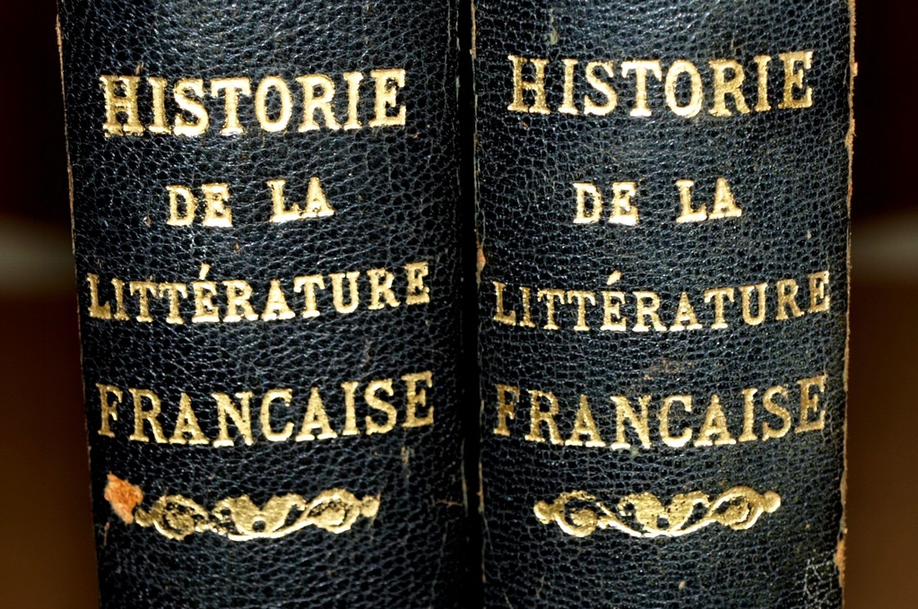 Historia literatury francuskie 2t.kpl Ilustro 1923