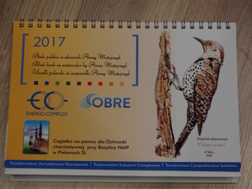 Kalendarz na biurko 2017 Ptaki