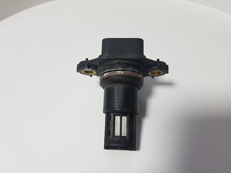 v(*´v｀*)v ベルガモット×10 Narzuta fioletowa GOFER 220X240CM AW18 911563