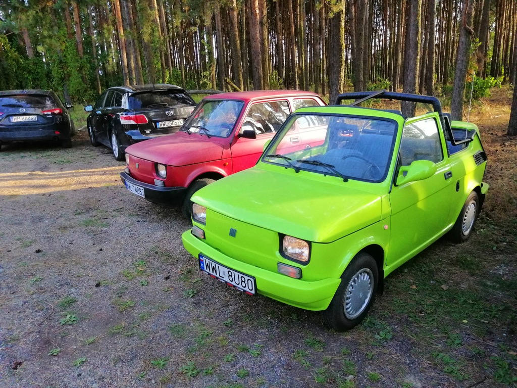 Купить Fiat 126p 3 шт. кабриолет элегантный: отзывы, фото, характеристики в интерне-магазине Aredi.ru