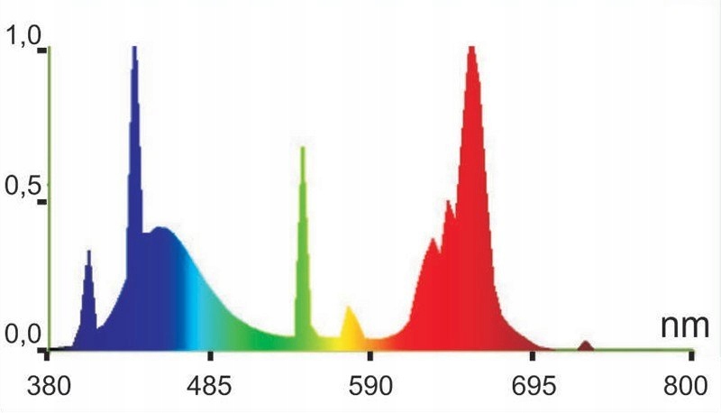 Świetlówka T8 FLORA COLOR Happet N081 36W