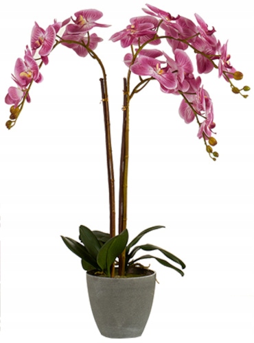 sztuczna orchidea 77 x 50 cm ciemny róż/antracyt
