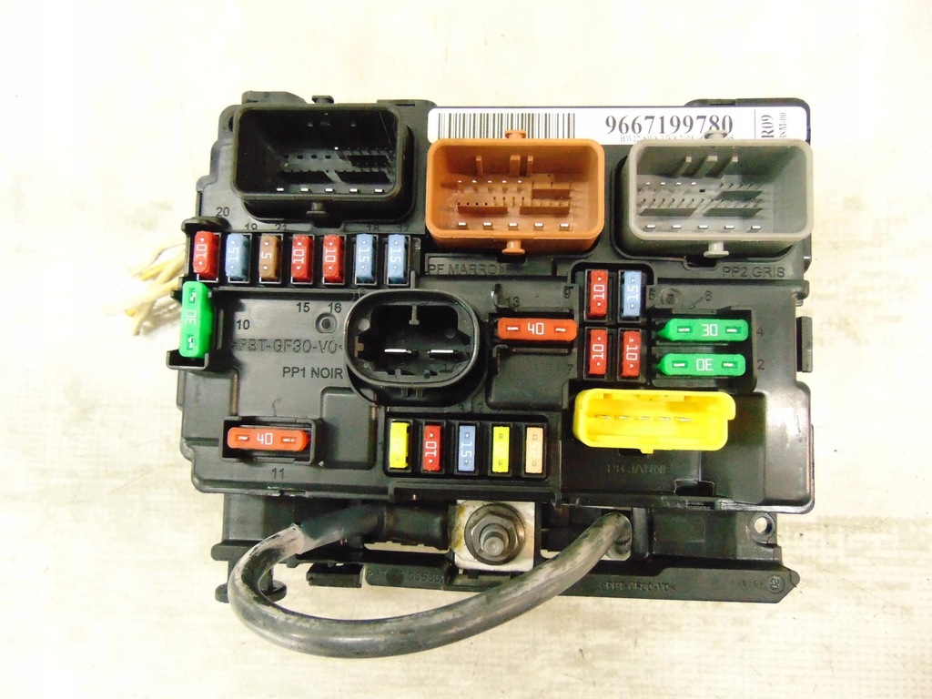 BSM R09 DELPHI Citro&euml;n Peugeot 9667199780