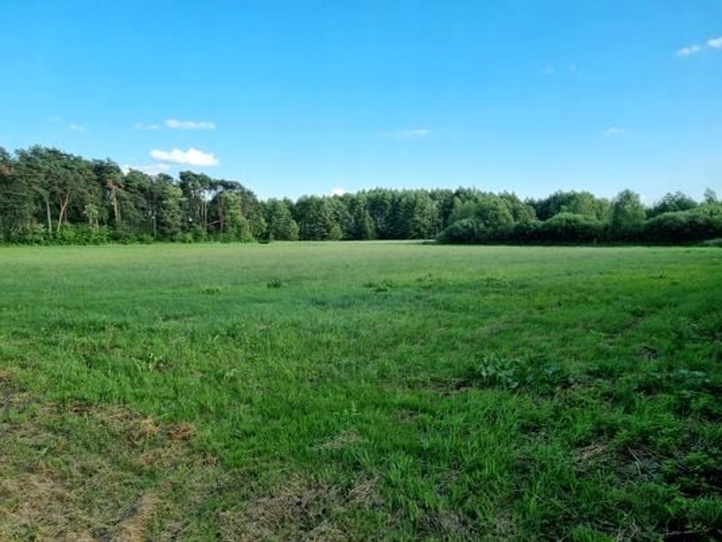 Działka, Kuflew, Mrozy (gm.), 11943 m²