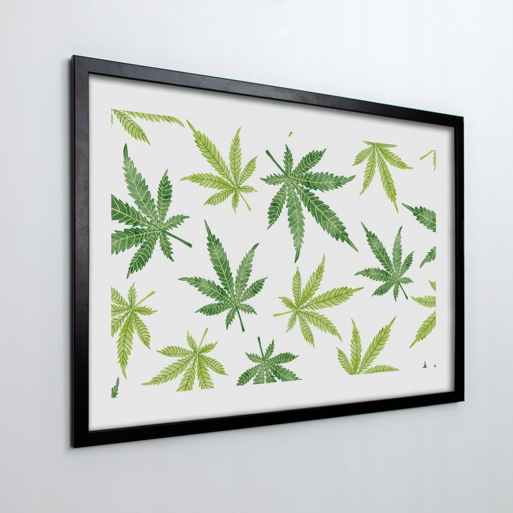 Obraz w ramie na ścianę Liście marihuana 70x50 cm