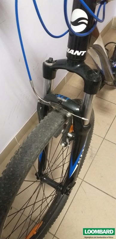 giant revel 6000 series alloy