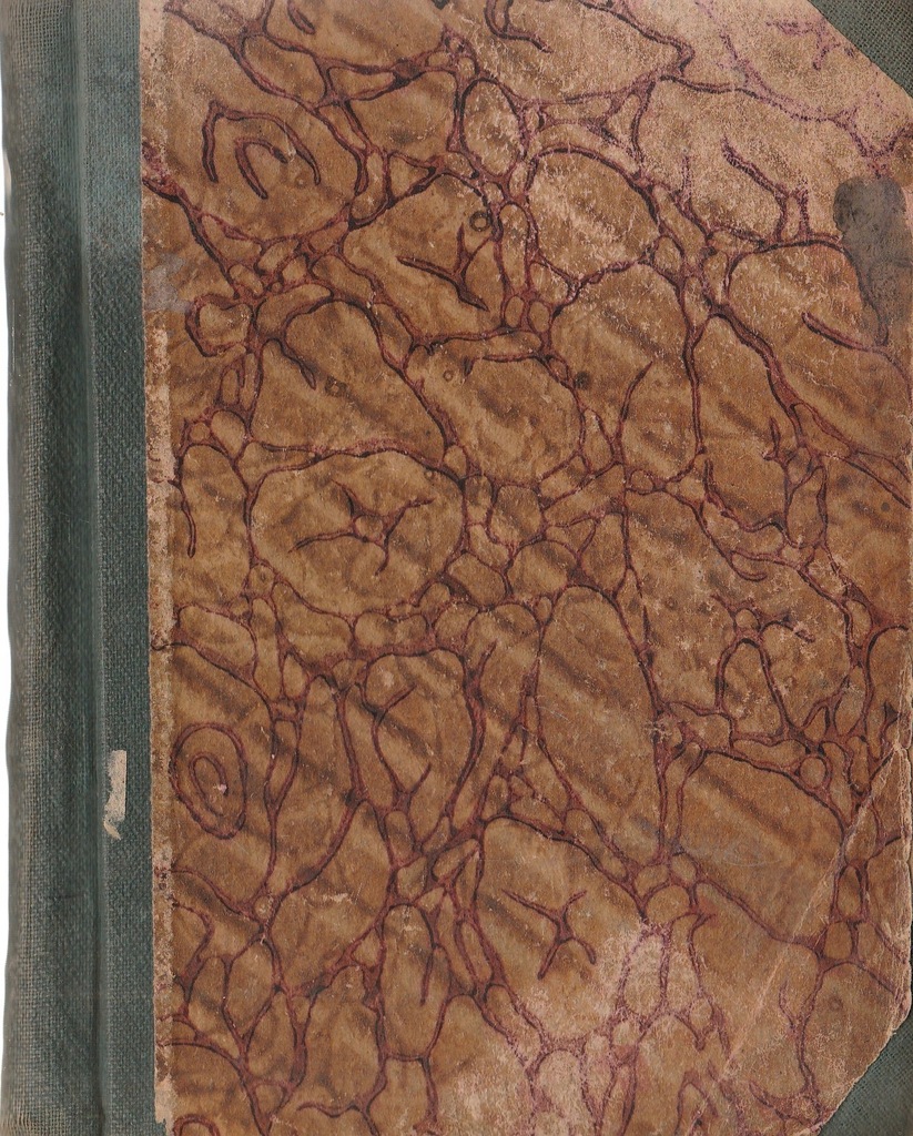 W Poblirzu Bieguna Fr.Hoffman 1906 r
