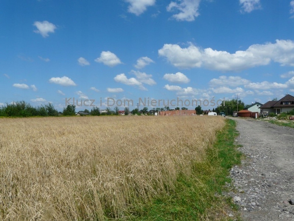 Działka, Nowa Wola, Lesznowola (gm.), 5000 m²
