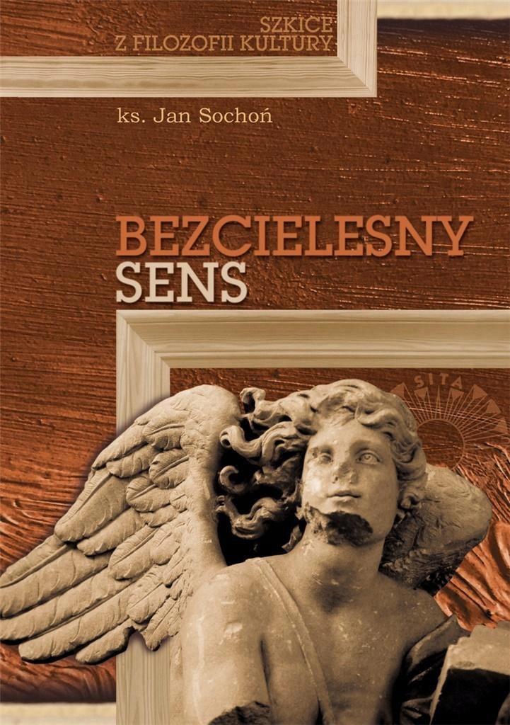 BEZCIELESNY SENS. SZKICE Z FILOZOFII KULTURY