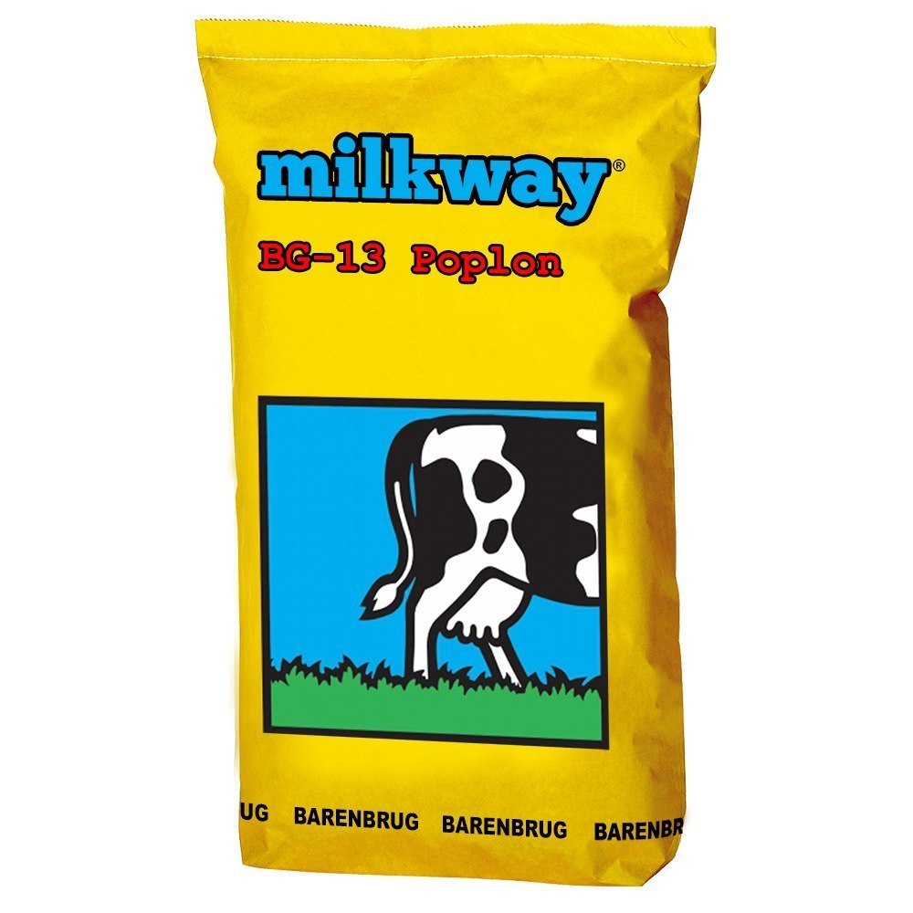 Trawa Poplonowa Barenbrug BG-13 Milkway Poplon 15k
