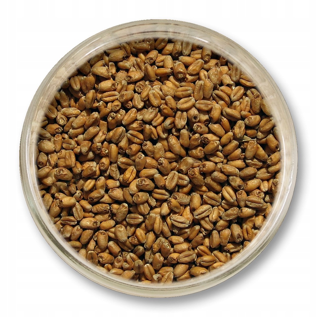 Słód Weyermann Carawheat 100-130 EBC 500 g śruta