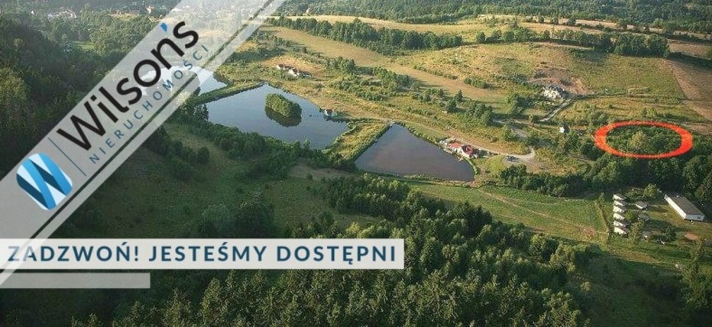 Działka, Lewin Kłodzki (gm.), 3002 m²