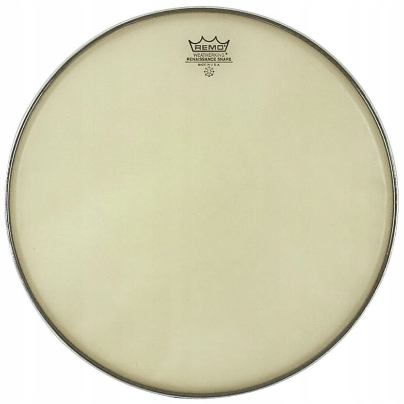 REMO Renaissance Ambassador Hazy 14"