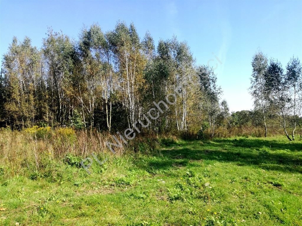 Działka Żabia Wola, grodziski, 3000,00 m²