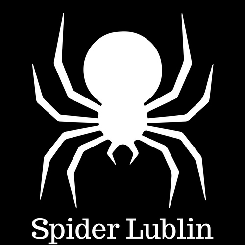 Ornithoctoninae sp laos L2 - Spider Lublin