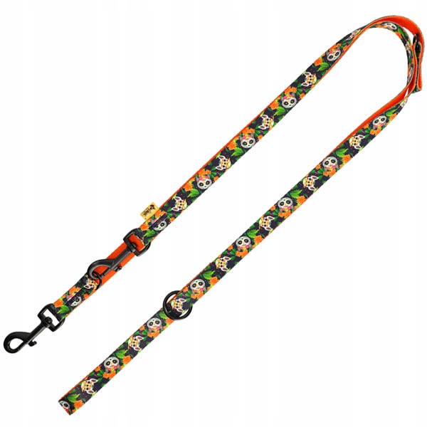 Dingo Smycz przepinana City - Chiapas 2,0x220cm