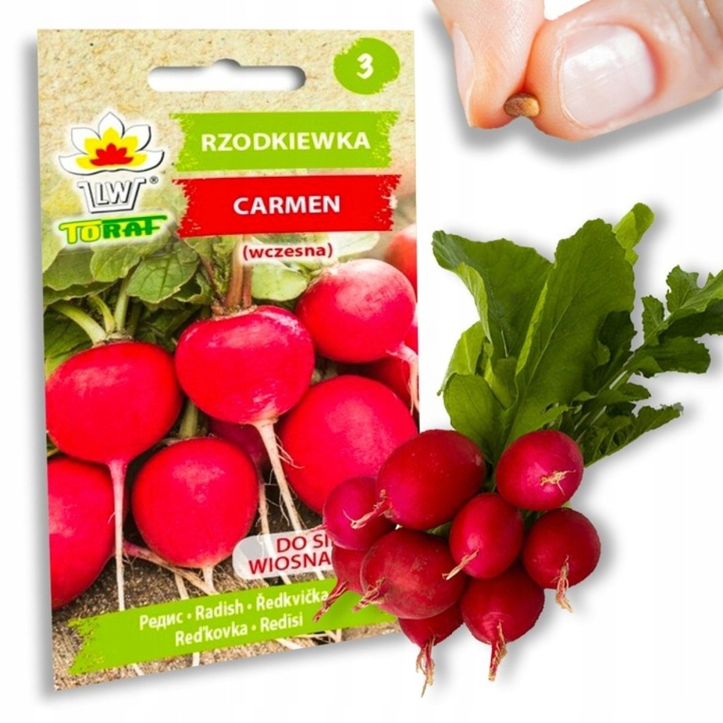 W1194 RZODKIEWKA NASIONA RZODKIEWKI CARMEN CZERWONA WCZESNA ŁAGODNA NIE PA