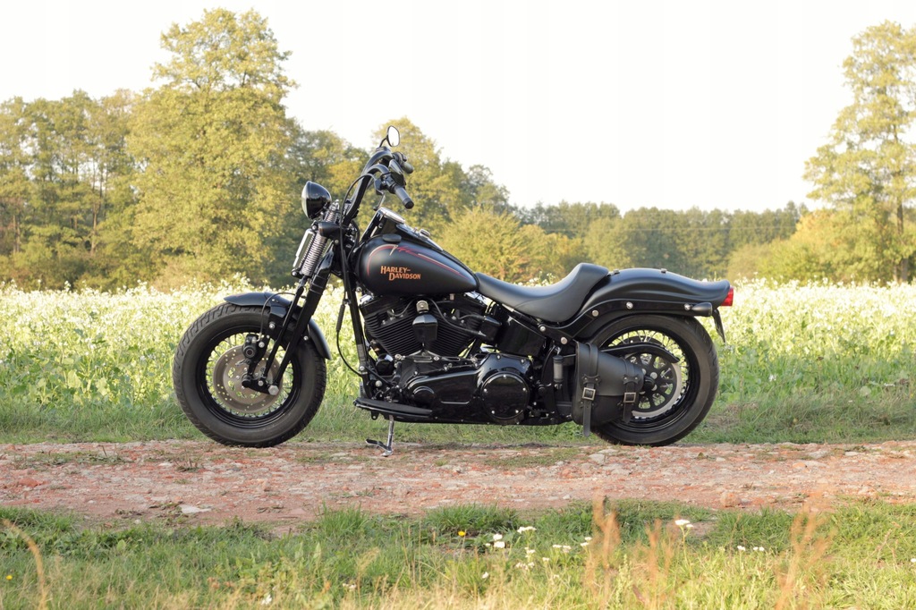 Харлей Дэвидсон Cross Bones 2009