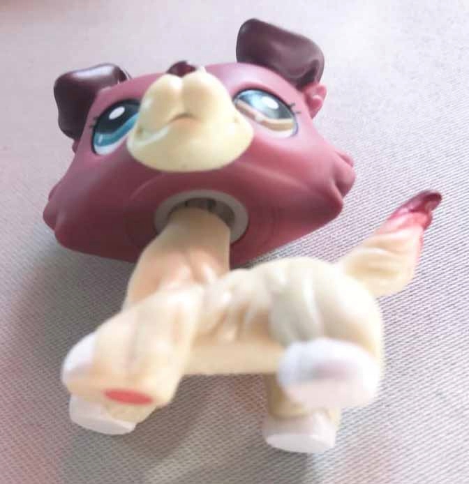 Littlest Pet Shop #1262 piesek collie LPS
