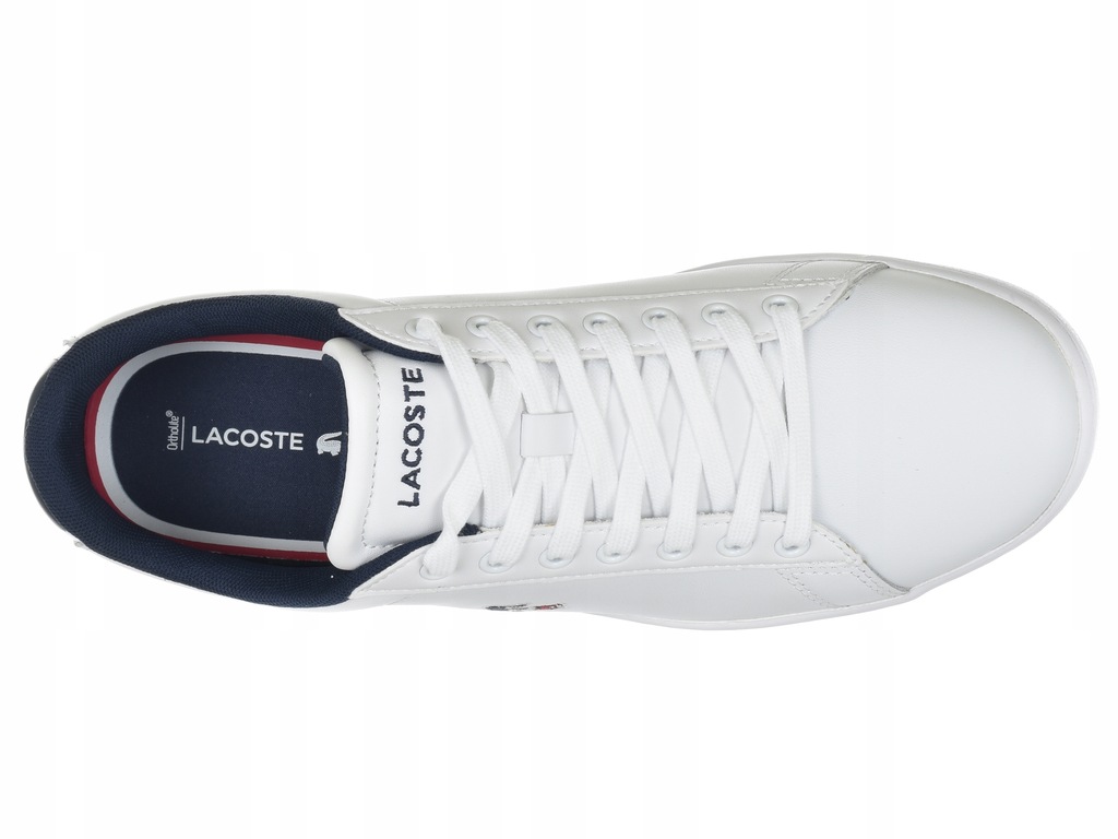 Купить КРОССОВКИ LACOSTE CARNABY EVO 7-39SFA0048407: отзывы, фото, характеристики в интерне-магазине Aredi.ru