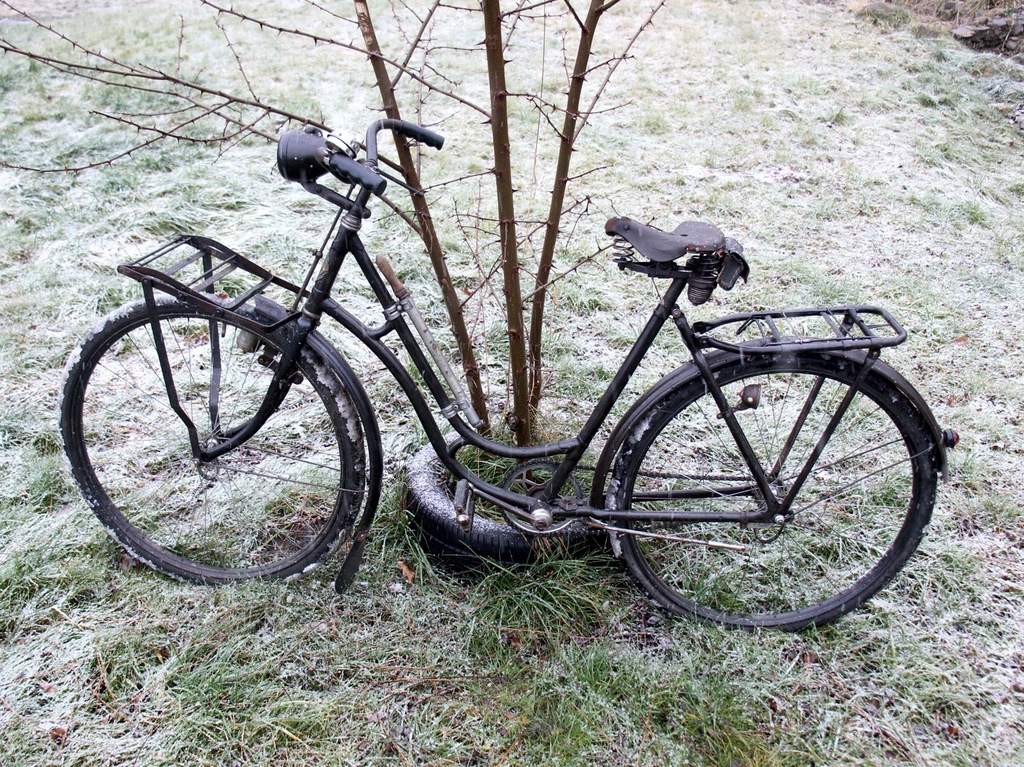 STARY ROWER zabytkowy - PIĘKNY, jedyny taki CUDO