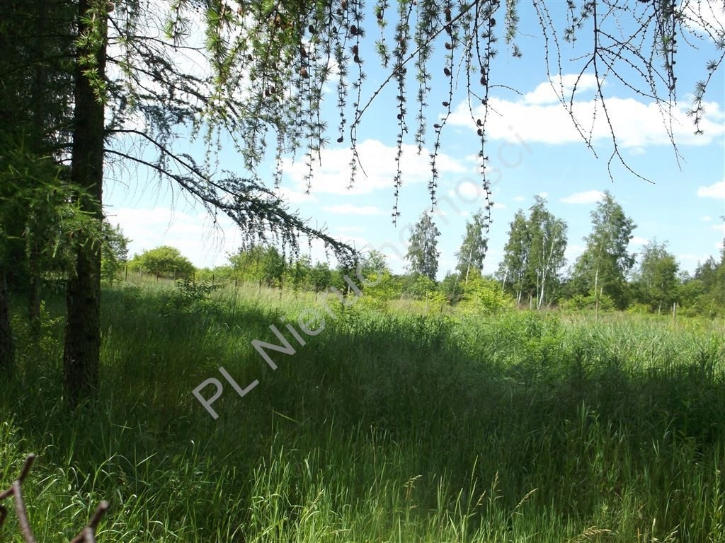 Działka Żabia Wola, grodziski, 1086,00 m²
