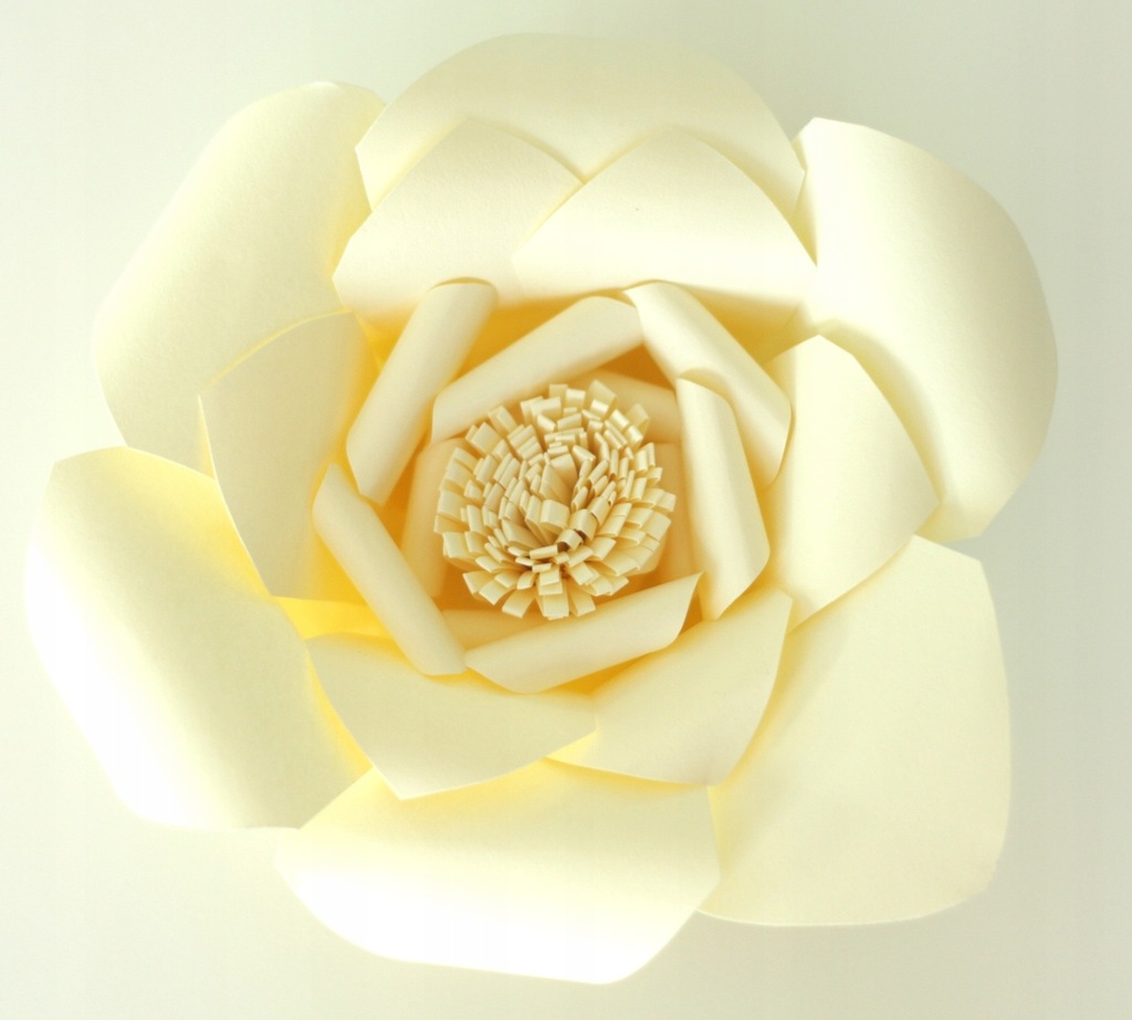 Kwiat Luxury z papieru - waniliowy, Próbki