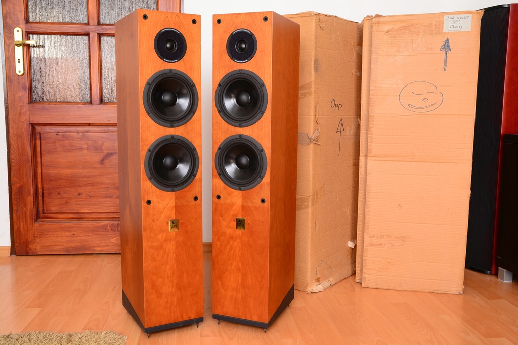 Kolumny Stereo głośniki podłogowe AudioVector M2