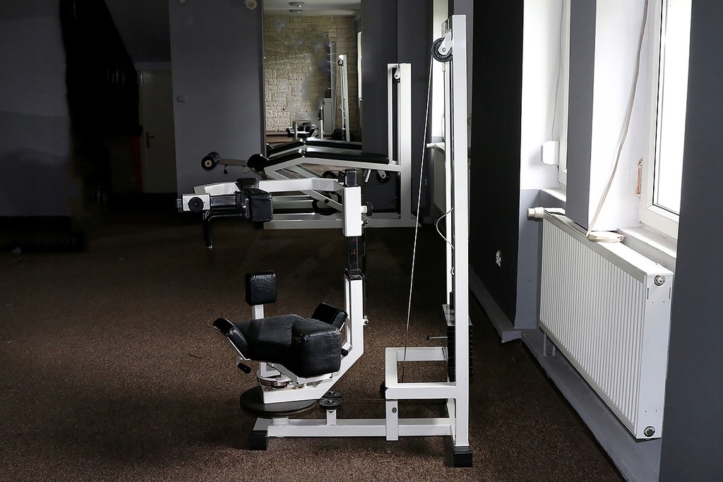 Maszyna na mięśnie skośne brzucha Technogym M050