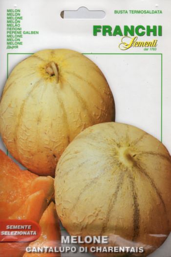 Melon CANTALUPO DI CHARENTAIS 4g nasion