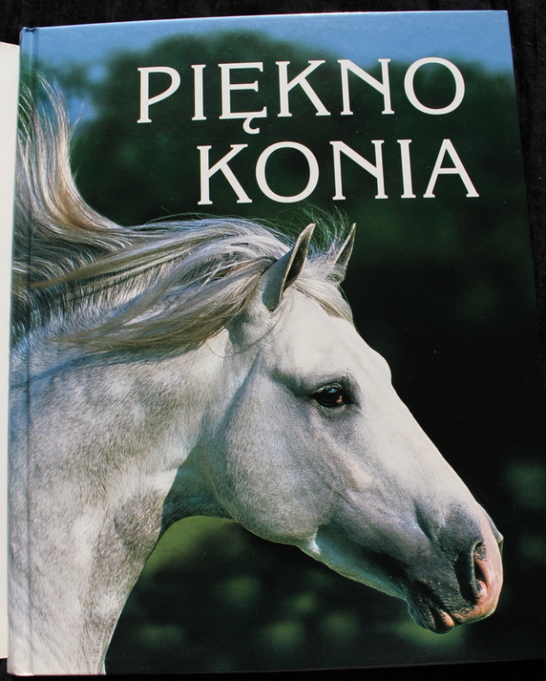 Album Piękno konia