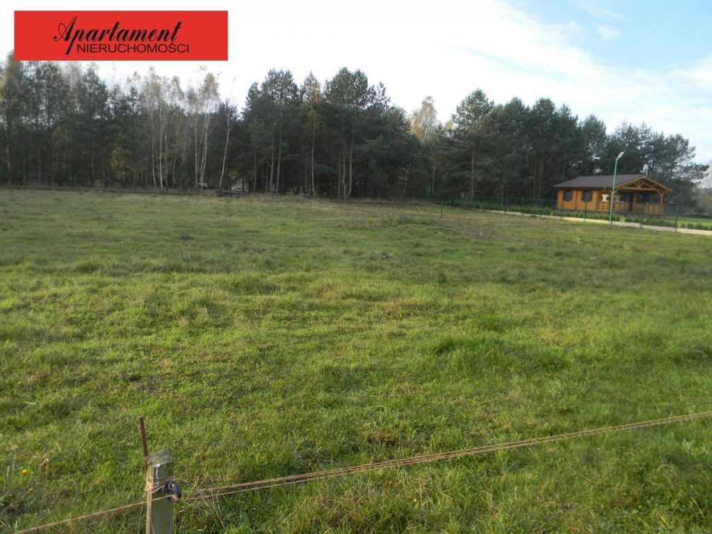 Działka, Ostrowite, Lniano (gm.), 1500 m²