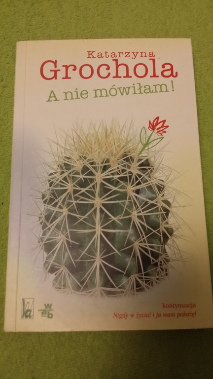 Katarzyna Grochola - A nie mówiłam!