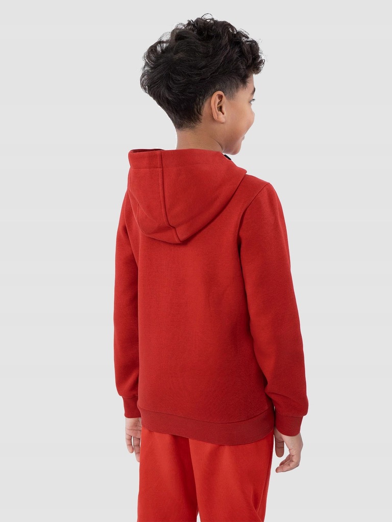 Купить Толстовка на молнии с капюшоном 4f для мальчика 146: отзывы ...