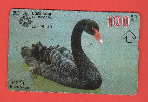 Купить ТАИЛАНД фауна птицы черный лебедь: отзывы, фото, характеристики в интерне-магазине Aredi.ru