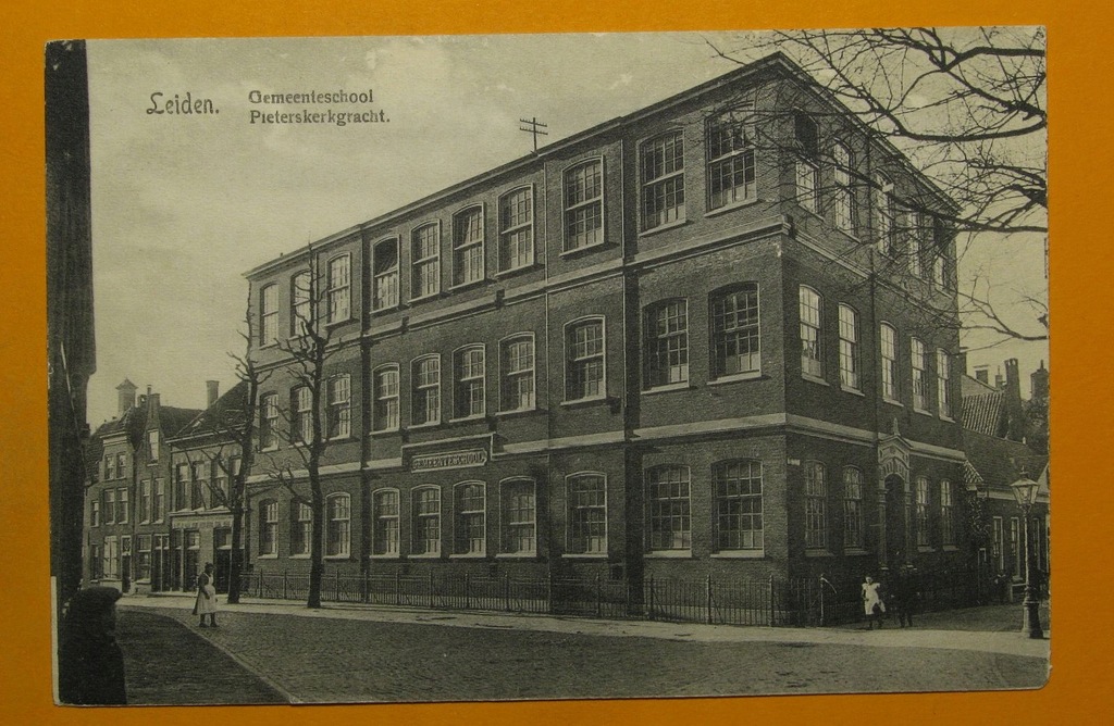 250484, Holandia, Lejda, szkoła