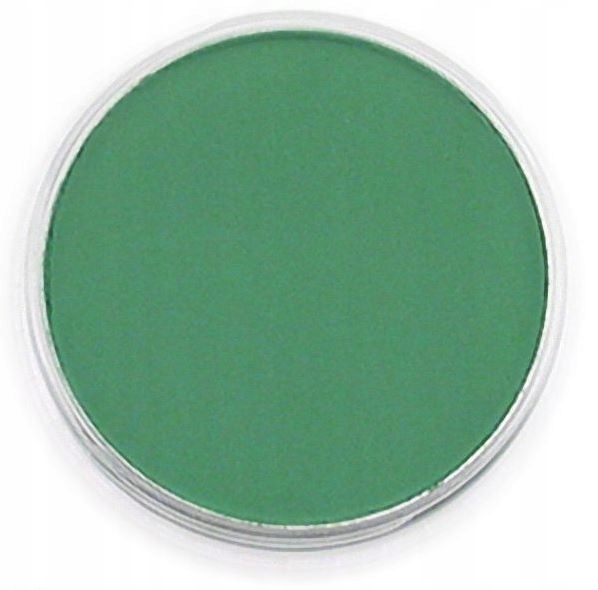 PanPastel Permanent Green Shade 9ml