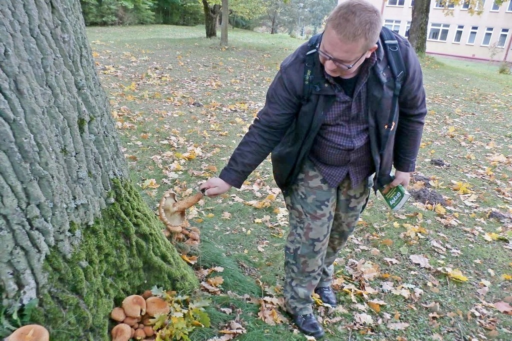 Sztab Olsztyn Bon na zajęcia botaniczne - Olsztyn