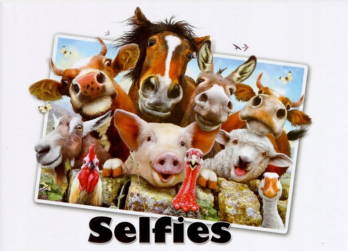 Metalowy magnes 9x6,5cm selfie zwierząt na farmie
