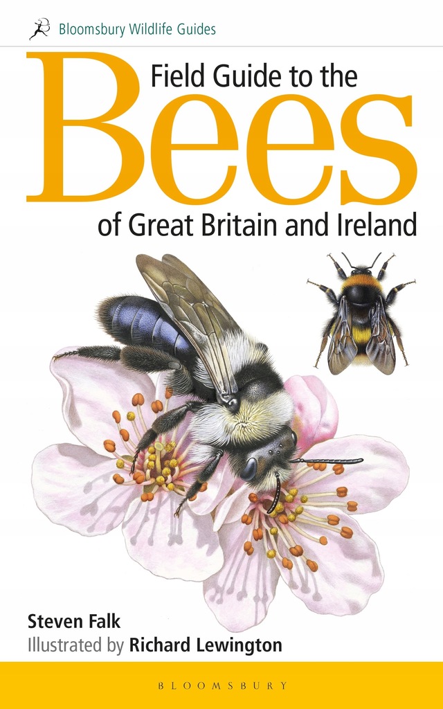 Field Guide to the Bees of Great Britain and