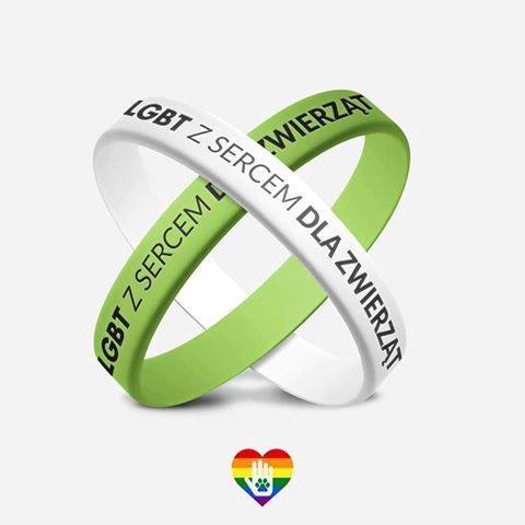 Tęczowi dla WOŚP - LGBT dla zwierząt - 2 opaski