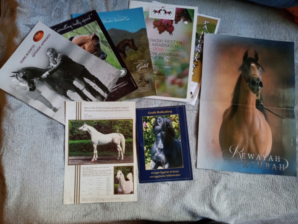 Konie arabskie foldery, nimi katalogi