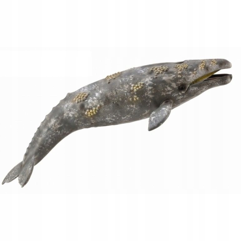 CollectA 88836 - Pływacz szary wal wieloryb