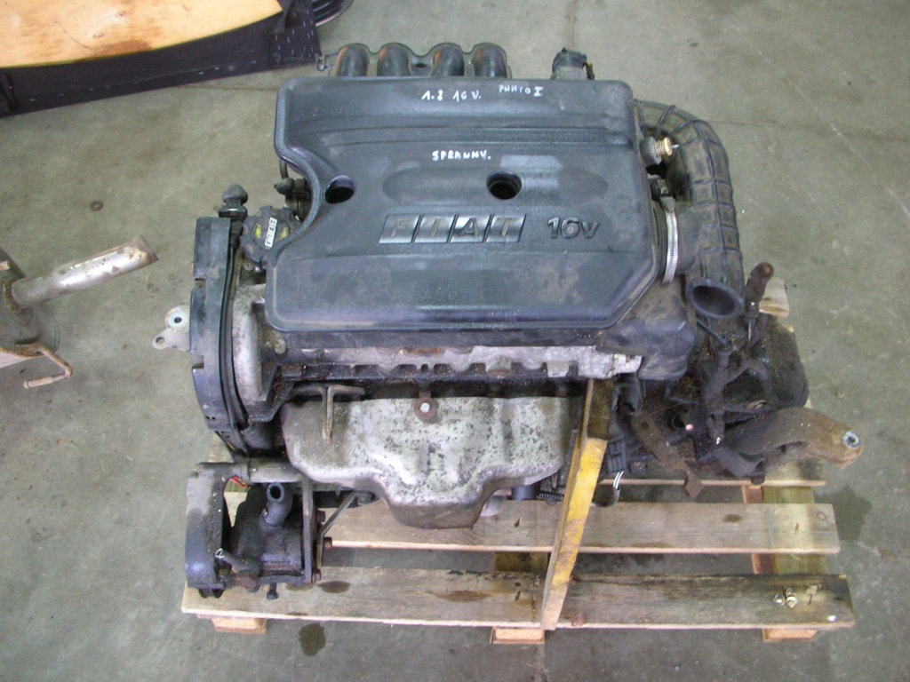 Fiat Punto I II silnik 1.2 16V kompletny 7050359600