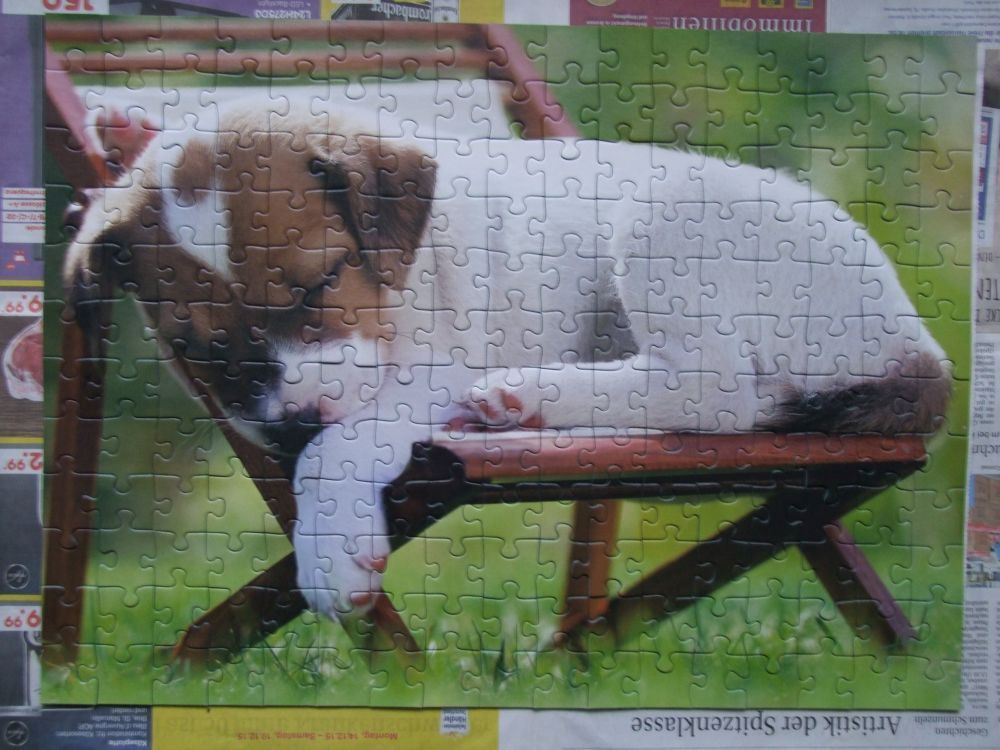 Puzzle - piesek na leżaku - 200el.