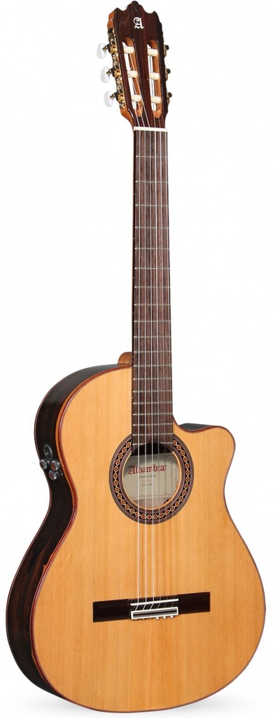 Alhambra Iberia Ziricote CTW E8 gitara
