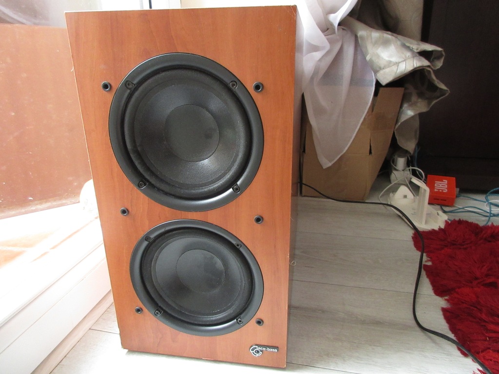 AudioPro B5 承る ace-bass