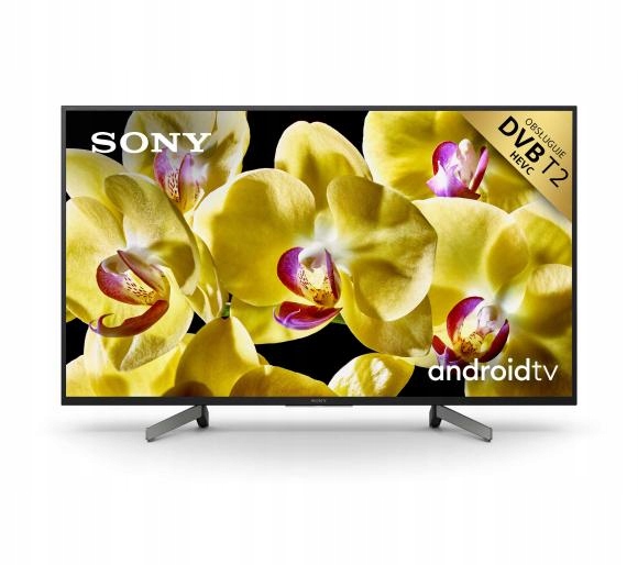 Telewizor Sony KD-49XG8096 DVB-T2/HEVC 49 cali